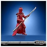 STAR WARS THE VINTAGE COLLECTION 3.75-INCH EMPORER’S ROYAL GUARD Figure - oop (7).jpg