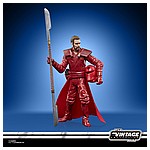 STAR WARS THE VINTAGE COLLECTION 3.75-INCH EMPORER’S ROYAL GUARD Figure - oop (8).jpg