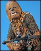 Chewbacca-02.jpg