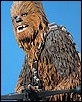 Chewbacca-09.jpg