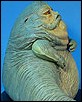 Jabba-03.jpg