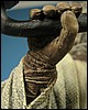 attakus-tusken23.jpg