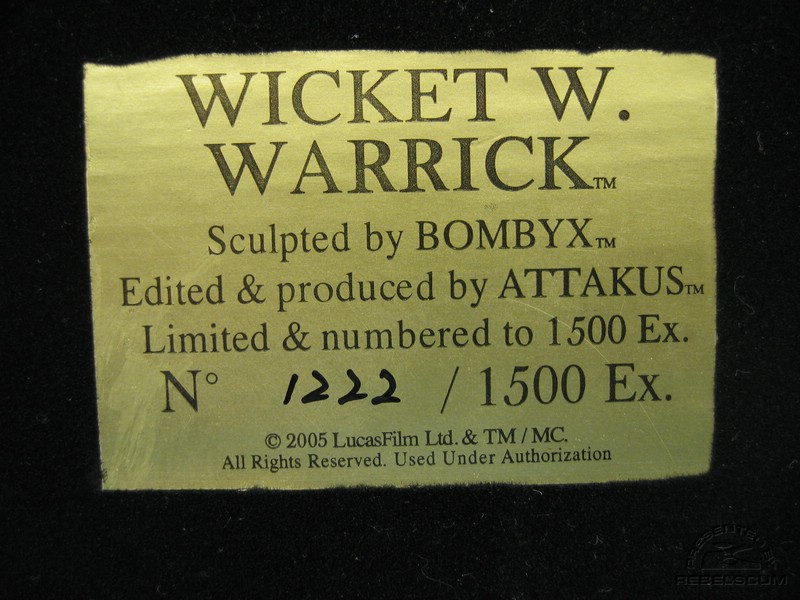 attakus-wicket17.jpg