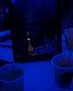 IMAG0318.jpg