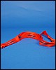 lanyard_2.JPG