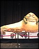 IMG_1267.JPG