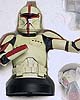 Star Wars Clone Trooper Captain Mini Bust