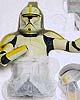 Star Wars Clone Trooper Commander Mini Bust