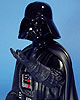 Star Wars Darth Vader Thank The Maker Mini Bust