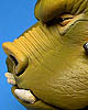 Star Wars Gamorrean Guard Mini Bust