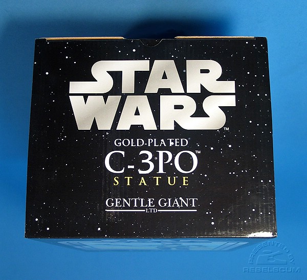 GGSc3po21.JPG