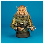 Bistan-Mini-Bust-Star-Wars-Rogue-One-Gentle-Giant-001.jpg