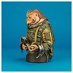 Bistan-Mini-Bust-Star-Wars-Rogue-One-Gentle-Giant-003.jpg