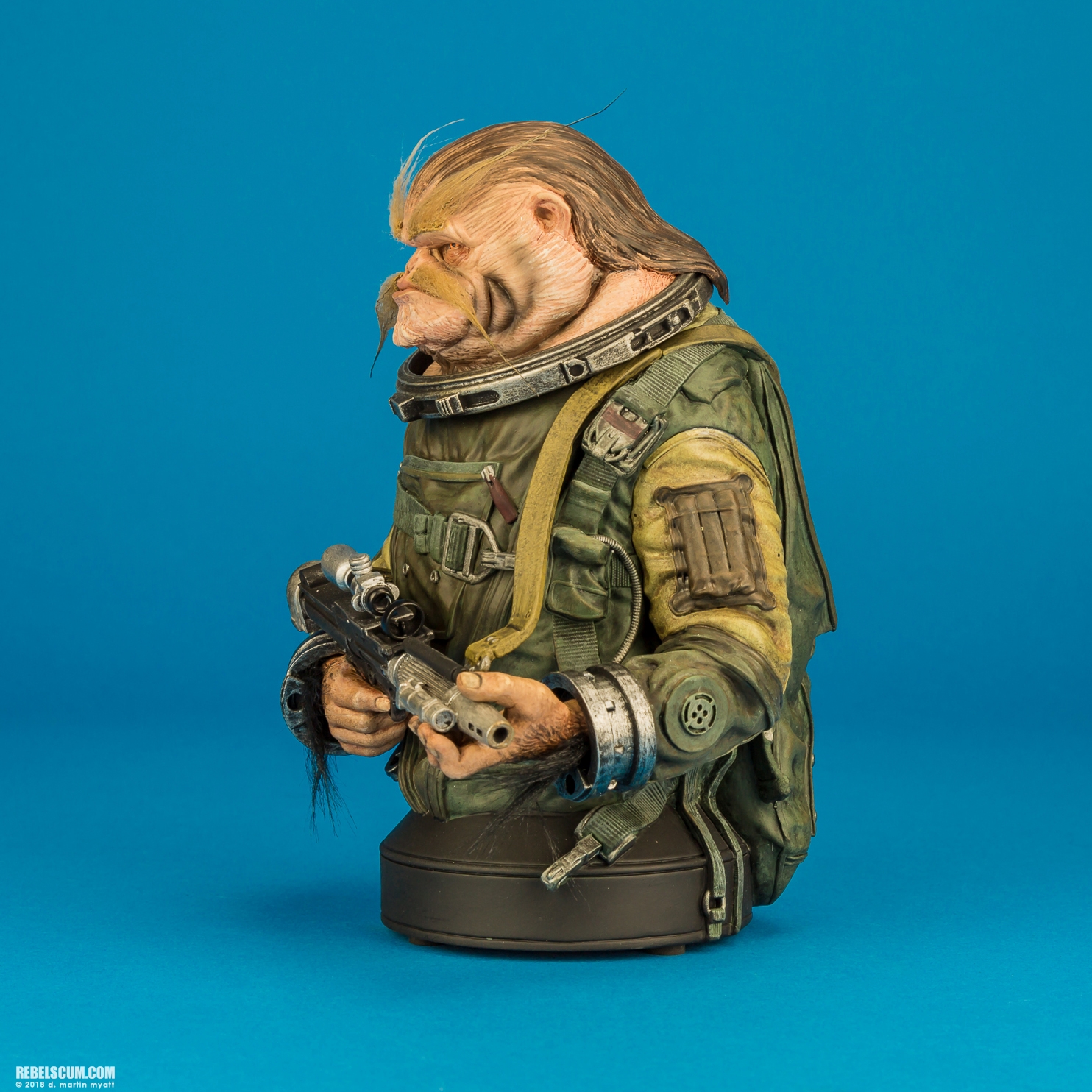 Bistan-Mini-Bust-Star-Wars-Rogue-One-Gentle-Giant-003.jpg