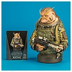 Bistan-Mini-Bust-Star-Wars-Rogue-One-Gentle-Giant-006.jpg