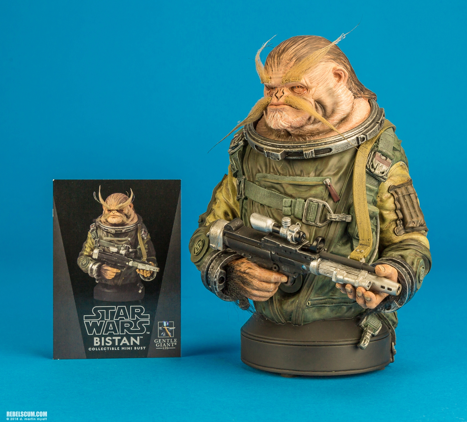 Bistan-Mini-Bust-Star-Wars-Rogue-One-Gentle-Giant-006.jpg