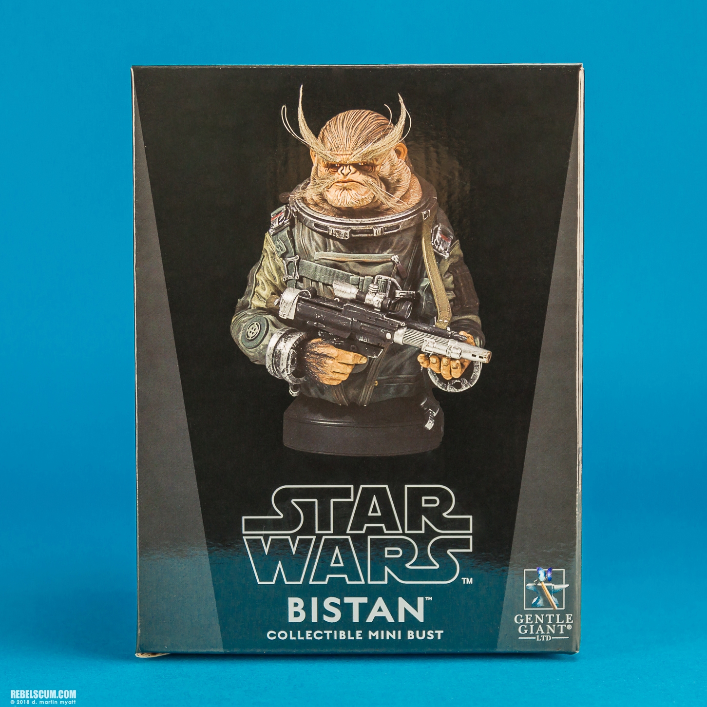 Bistan-Mini-Bust-Star-Wars-Rogue-One-Gentle-Giant-009.jpg