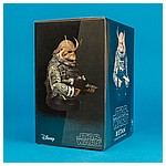 Bistan-Mini-Bust-Star-Wars-Rogue-One-Gentle-Giant-010.jpg