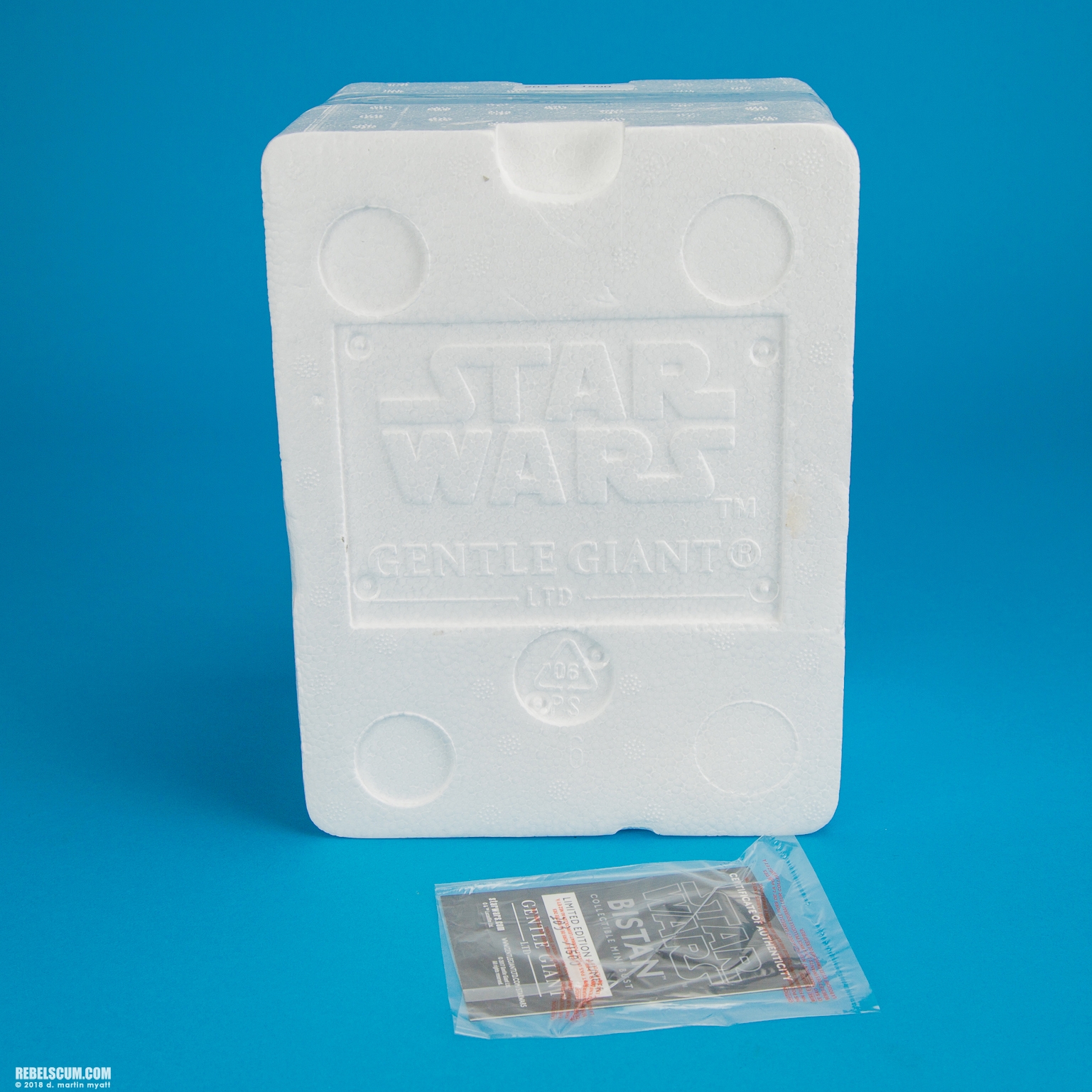 Bistan-Mini-Bust-Star-Wars-Rogue-One-Gentle-Giant-015.jpg