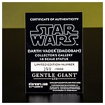 Darth-Vader-Dagobah-Statue-Gentle-Giant-008.jpg