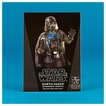 Darth-Vader-Emperors-Wrath-Mini-Bust-Gentle-Giant-011.jpg