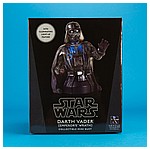 Darth-Vader-Emperors-Wrath-Mini-Bust-Gentle-Giant-013.jpg