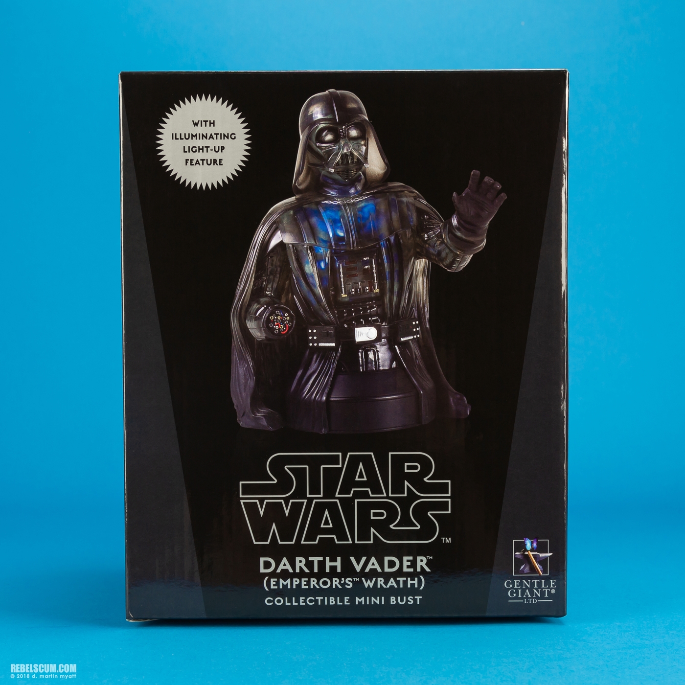 Darth-Vader-Emperors-Wrath-Mini-Bust-Gentle-Giant-013.jpg