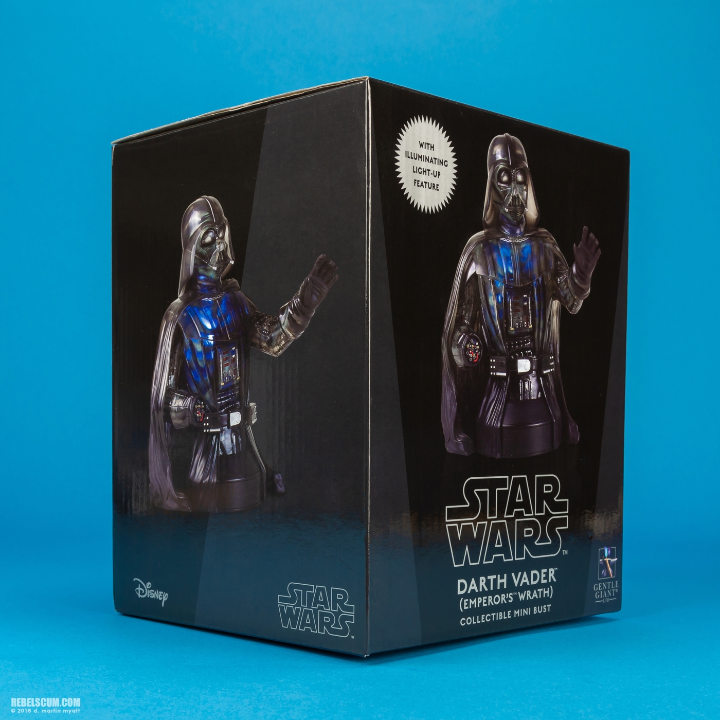 Darth-Vader-Emperors-Wrath-Mini-Bust-Gentle-Giant-014.jpg