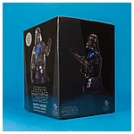 Darth-Vader-Emperors-Wrath-Mini-Bust-Gentle-Giant-015.jpg