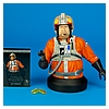 Jek-Porkins-Collectible-Mini-Bust-Gentle-Giant-2014-SDCC-011.jpg