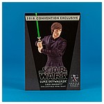 Luke-Skywalker-Jedi-Knight-Mini-Bust-Gentle-Giant-011.jpg