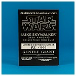 Luke-Skywalker-Jedi-Knight-Mini-Bust-Gentle-Giant-012.jpg