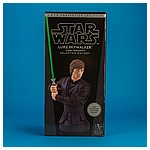 Luke-Skywalker-Jedi-Knight-Mini-Bust-Gentle-Giant-013.jpg