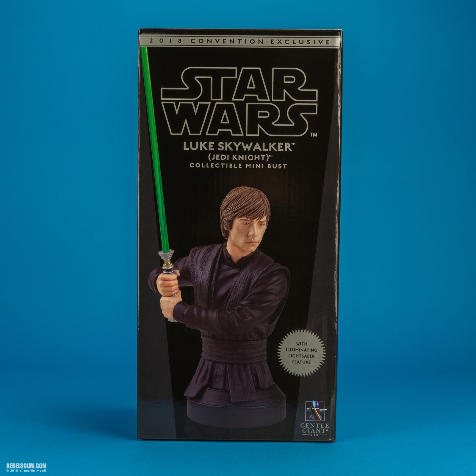 Luke-Skywalker-Jedi-Knight-Mini-Bust-Gentle-Giant-013.jpg