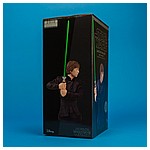 Luke-Skywalker-Jedi-Knight-Mini-Bust-Gentle-Giant-014.jpg