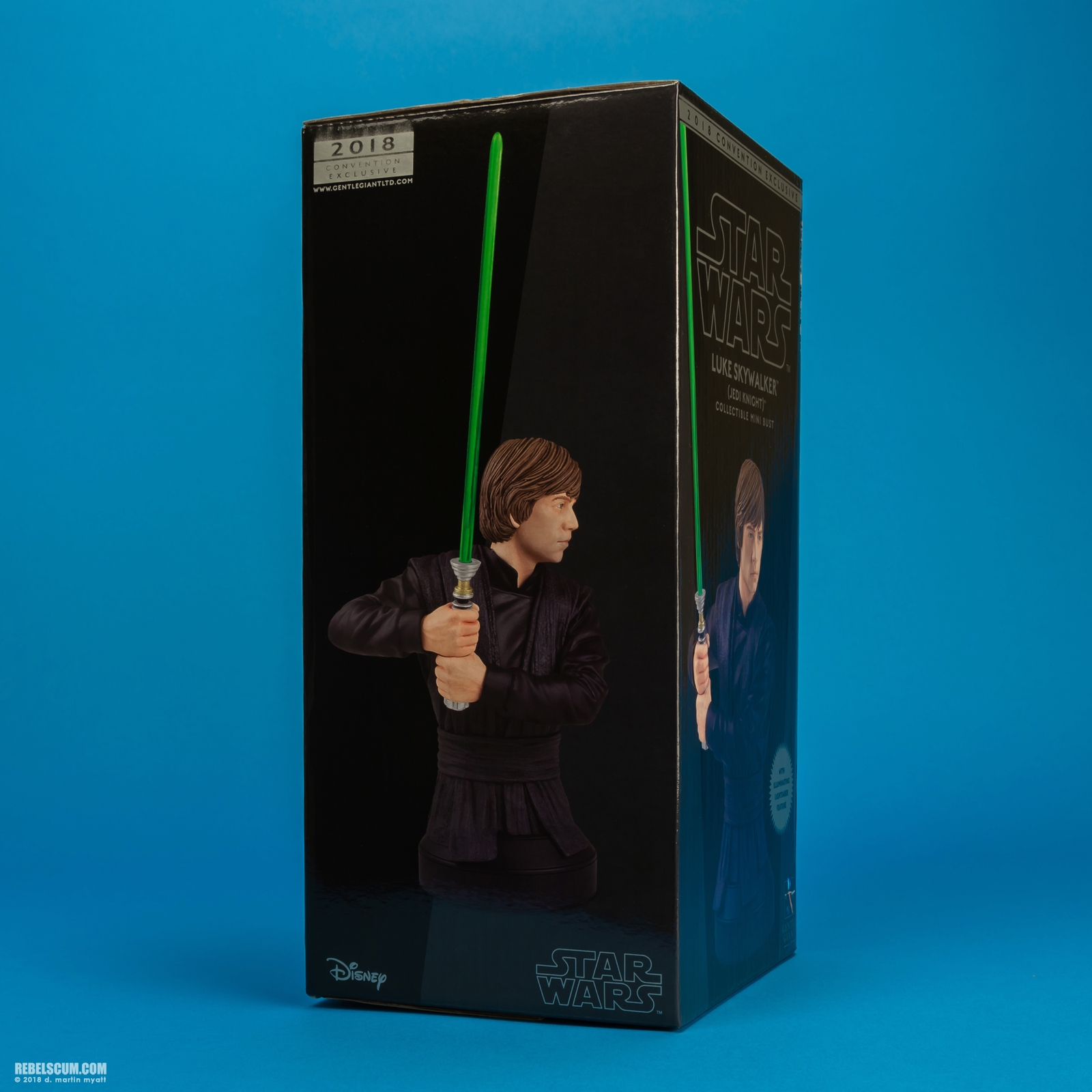 Luke-Skywalker-Jedi-Knight-Mini-Bust-Gentle-Giant-014.jpg