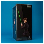 Luke-Skywalker-Jedi-Knight-Mini-Bust-Gentle-Giant-015.jpg