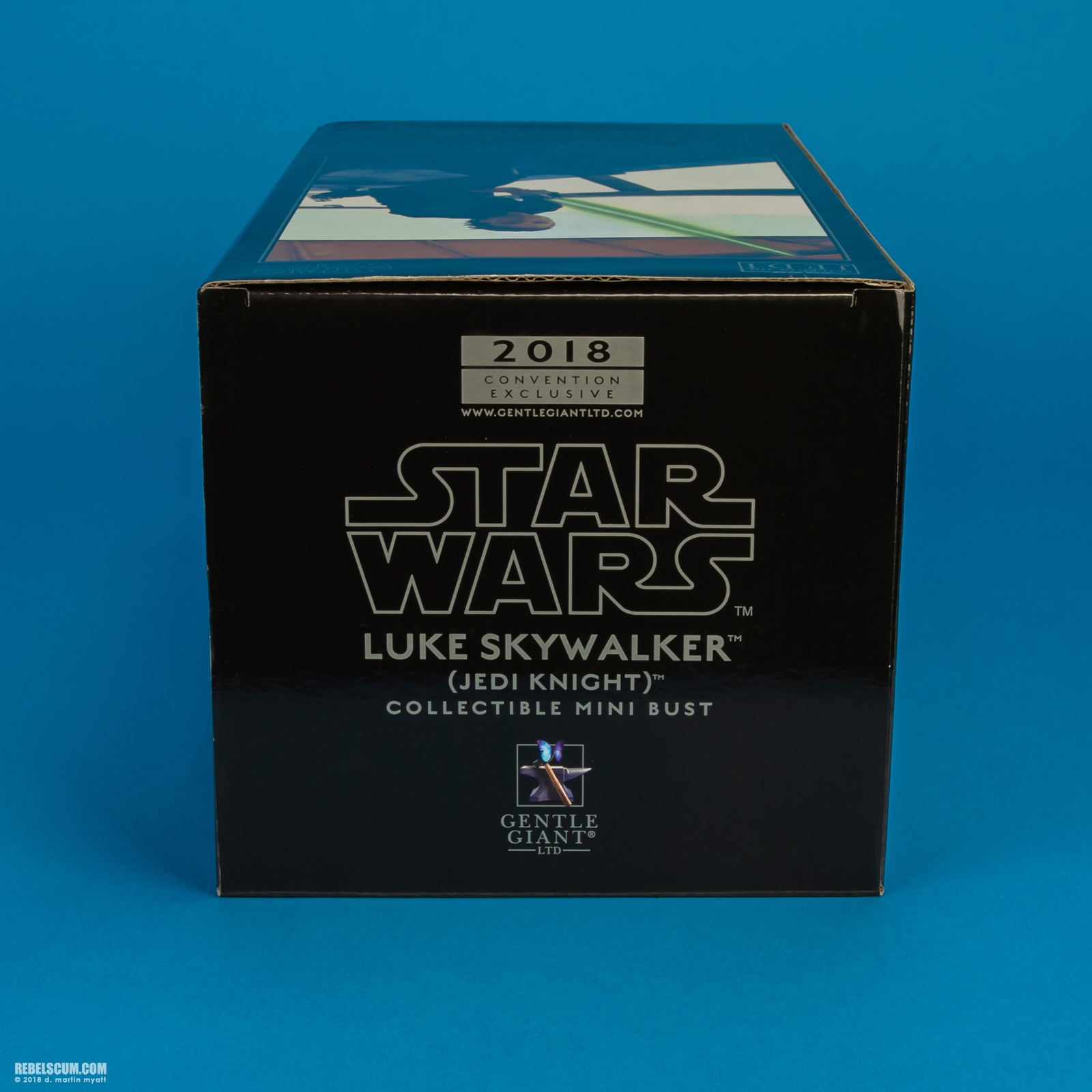 Luke-Skywalker-Jedi-Knight-Mini-Bust-Gentle-Giant-017.jpg