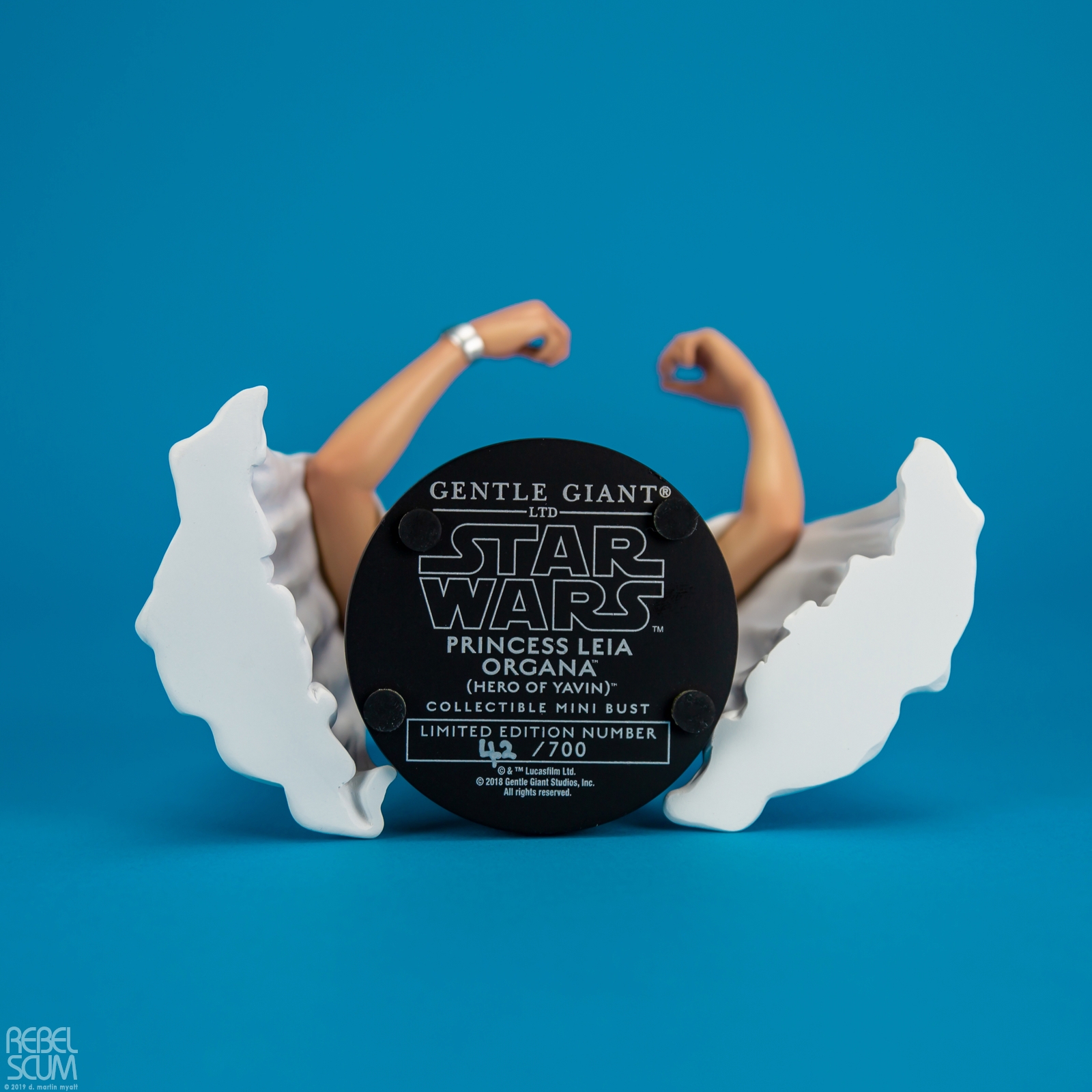 Princess-Leia-Organa-Hero-of-Yavin-Mini-Bust-Gentle-Giant-007.jpg