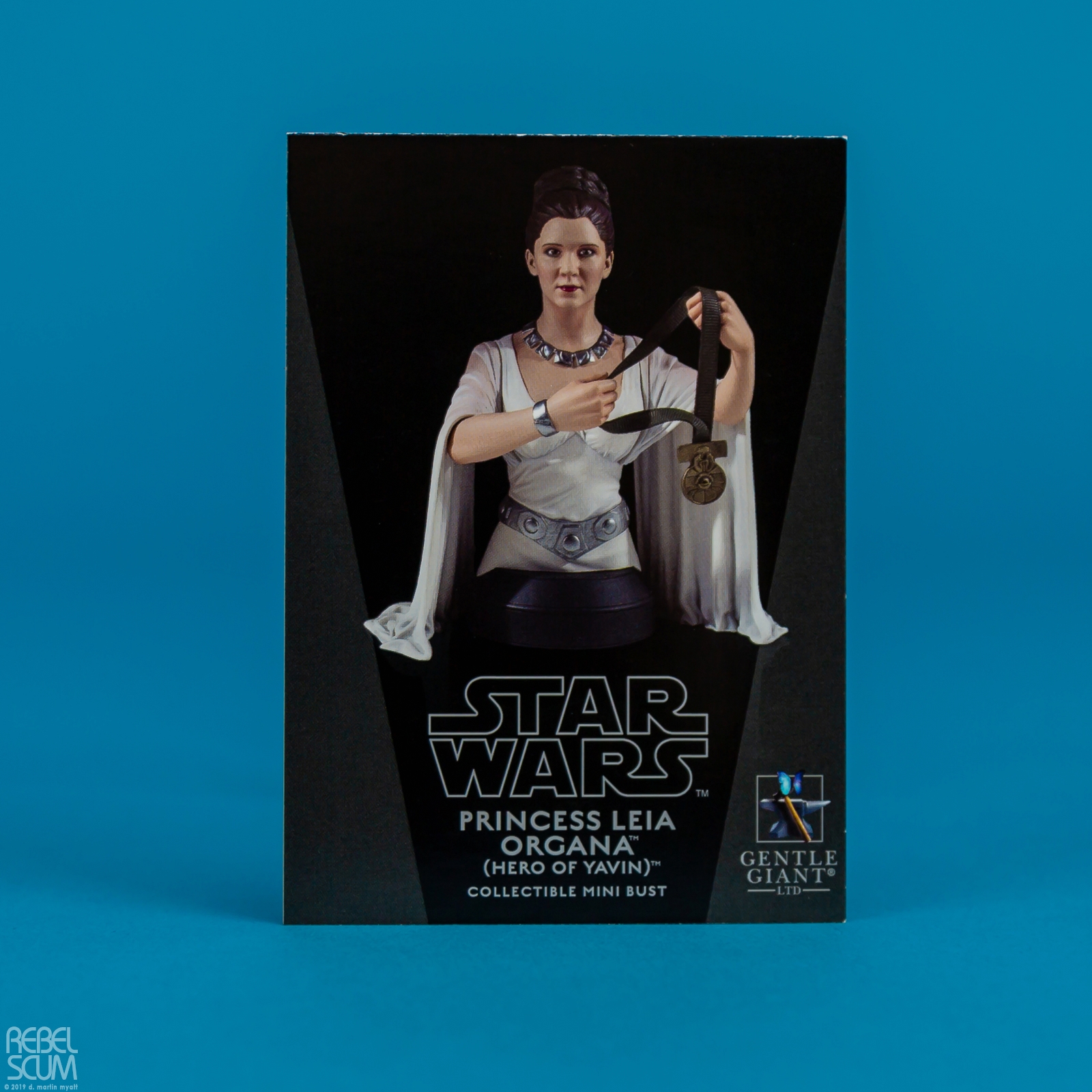 Princess-Leia-Organa-Hero-of-Yavin-Mini-Bust-Gentle-Giant-008.jpg