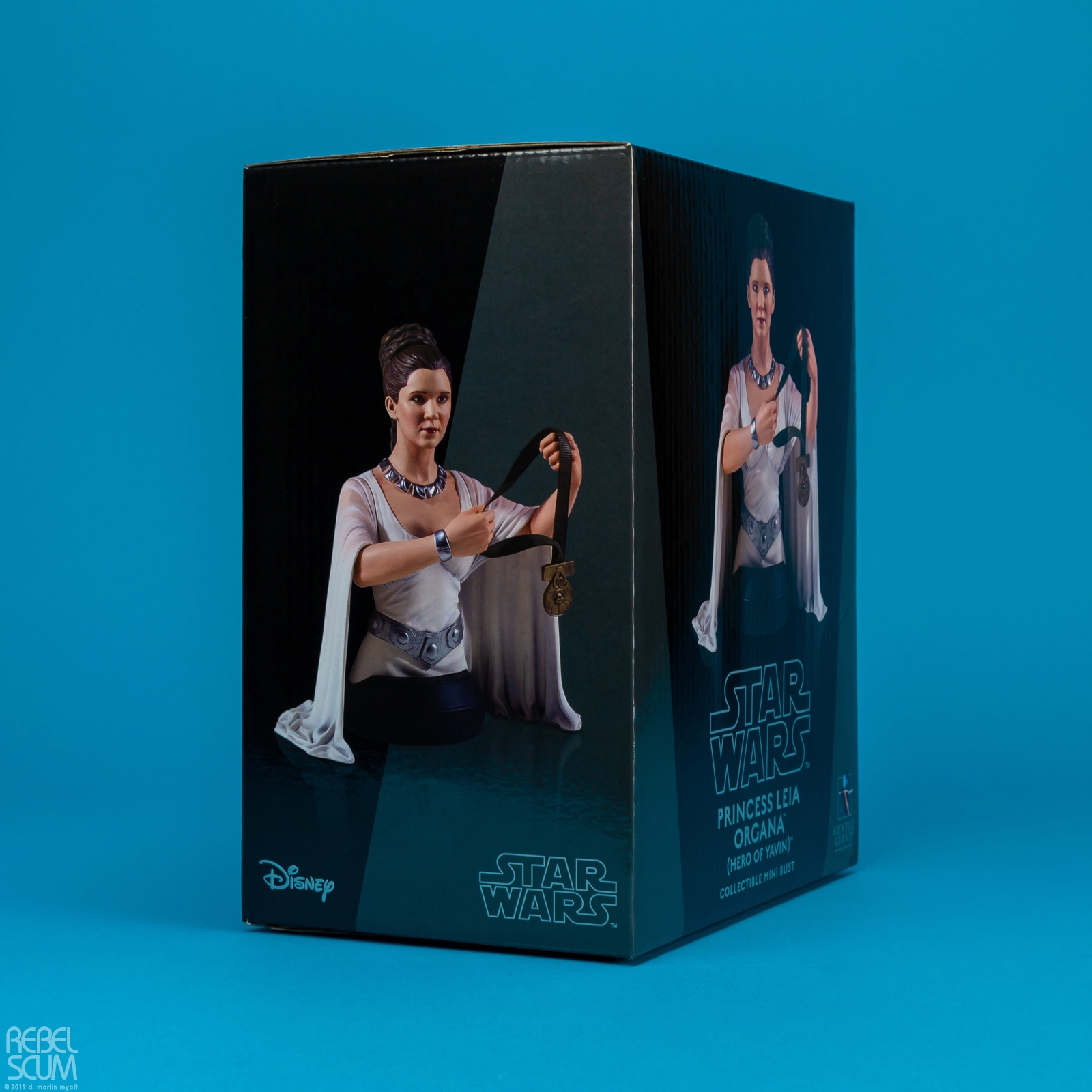 Princess-Leia-Organa-Hero-of-Yavin-Mini-Bust-Gentle-Giant-011.jpg