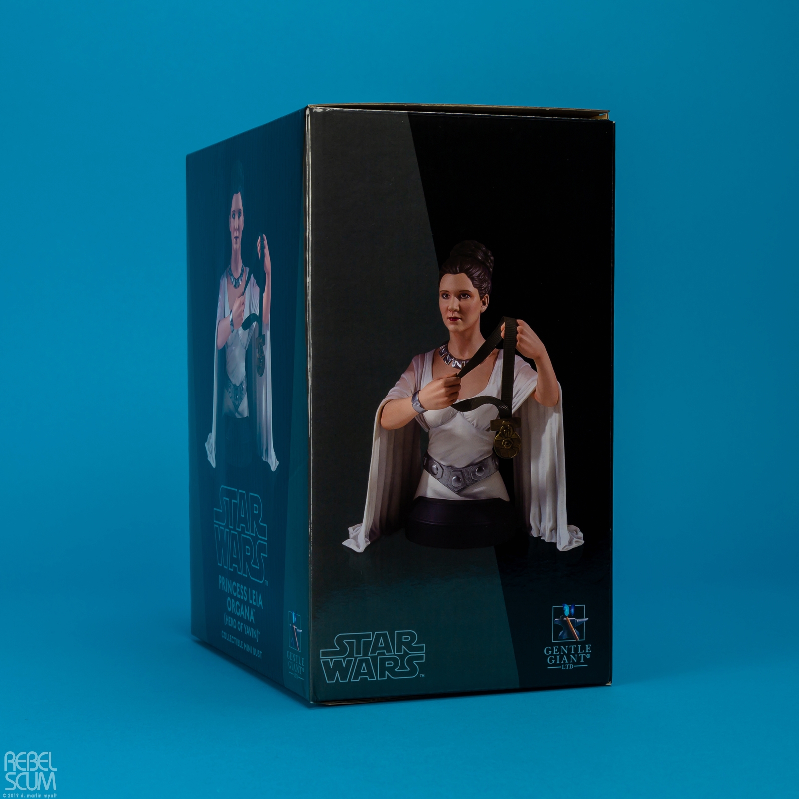 Princess-Leia-Organa-Hero-of-Yavin-Mini-Bust-Gentle-Giant-012.jpg