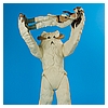 Wampa-Gentle-Giant-Ltd-Jumbo-Kenner-009.jpg