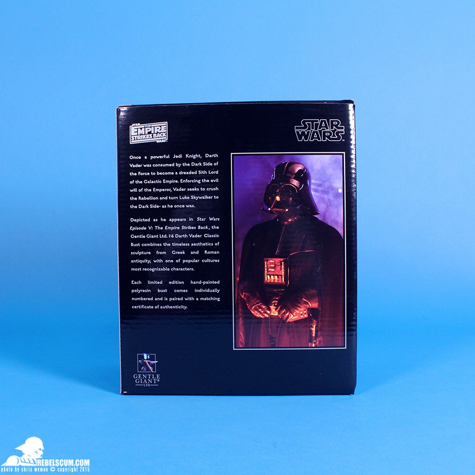 2015-Gentle-Giant-Premier-Guild-Exclusive-Darth-Vader-Classic-Bust004.jpg