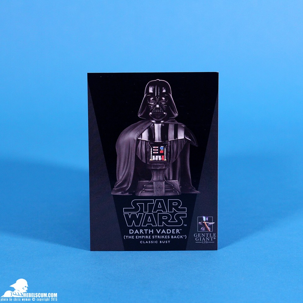 2015-Gentle-Giant-Premier-Guild-Exclusive-Darth-Vader-Classic-Bust017.jpg