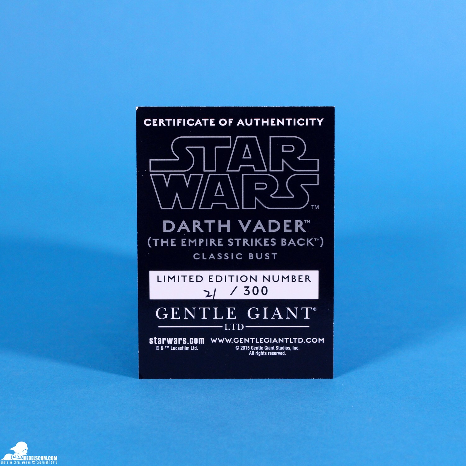 2015-Gentle-Giant-Premier-Guild-Exclusive-Darth-Vader-Classic-Bust018.jpg
