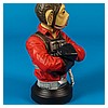 Nien_Nunb_Mini_Bust_Gentle_Giant-02.jpg