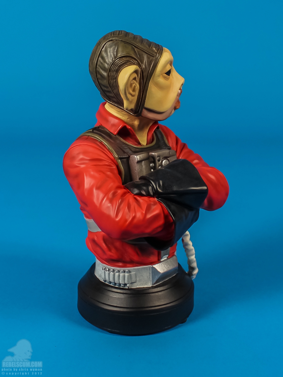 Nien_Nunb_Mini_Bust_Gentle_Giant-02.jpg