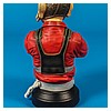 Nien_Nunb_Mini_Bust_Gentle_Giant-04.jpg