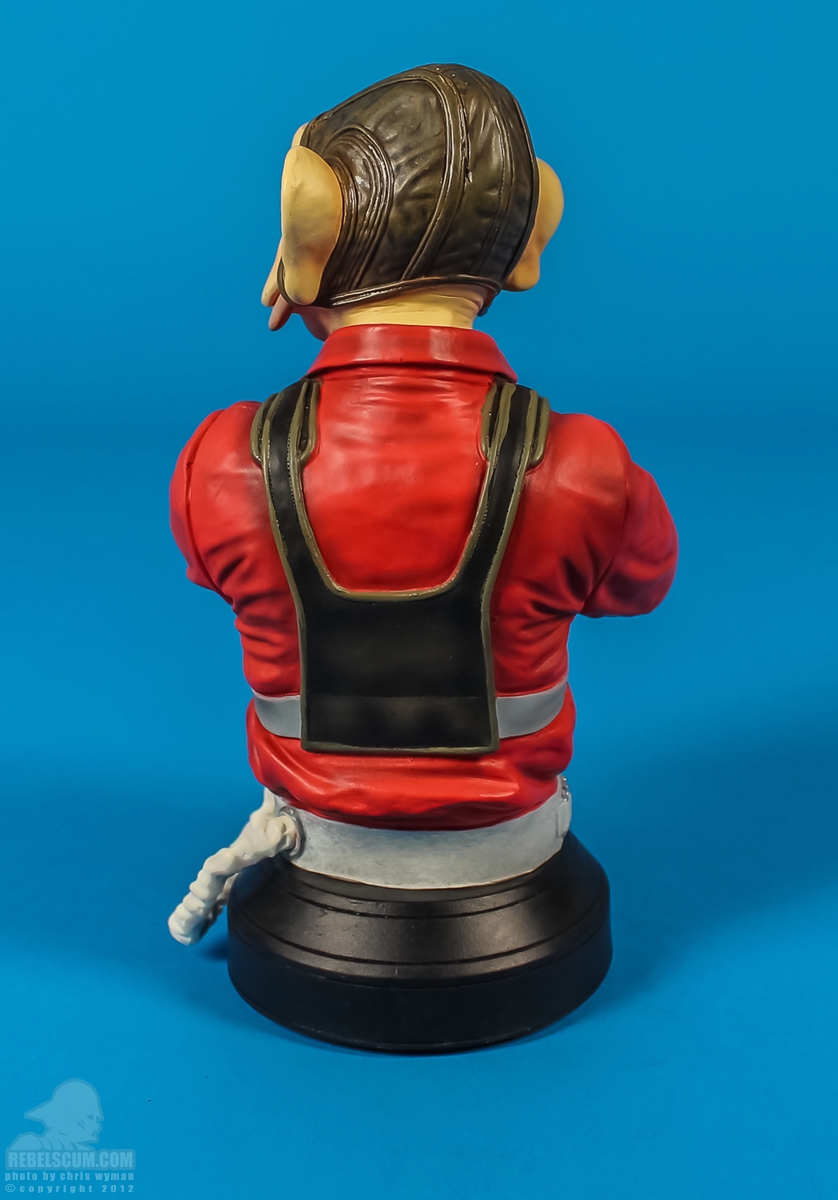 Nien_Nunb_Mini_Bust_Gentle_Giant-04.jpg